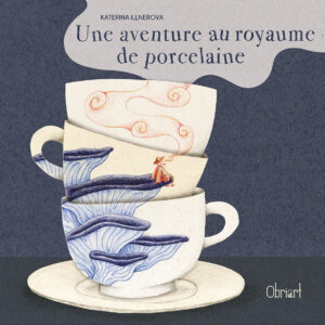 Une aventure au royaume de Porcelaine<span style="font-size:14px;"> de Katerina Illnerova</span>